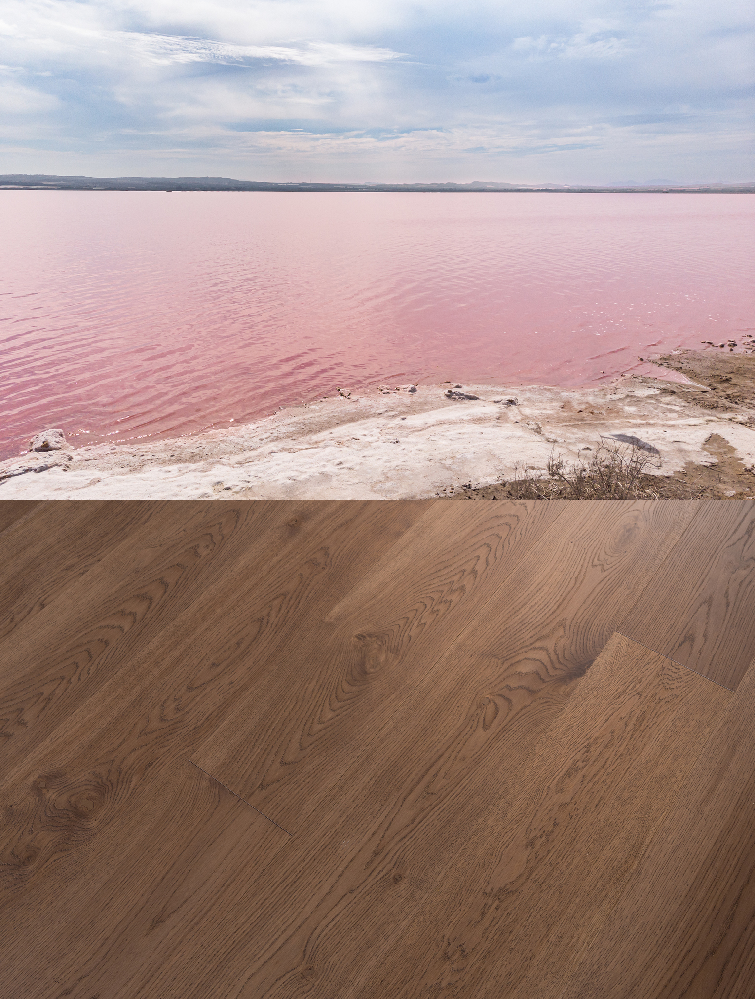 lake elton1530x2024