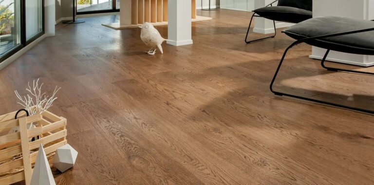 imgi_6_kedr-2000x990px-1-3