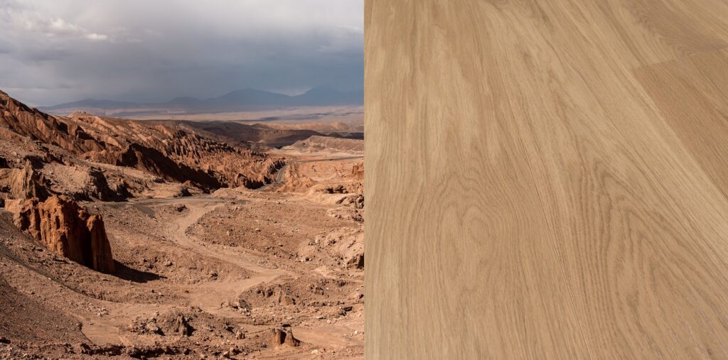 imgi_5_atacama2000x990-2