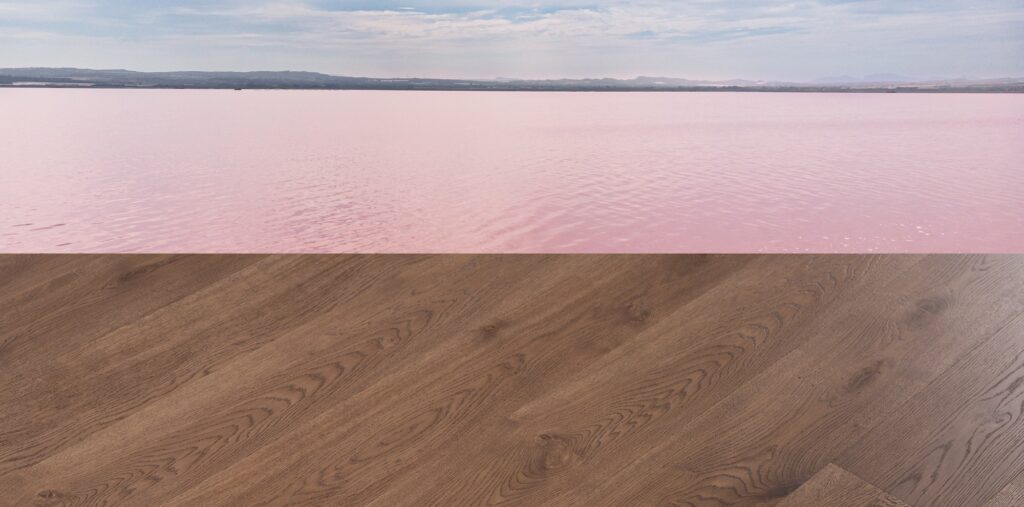 imgi_6_lake-elson2000x990