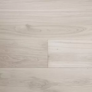 Альбатрос рустикальный