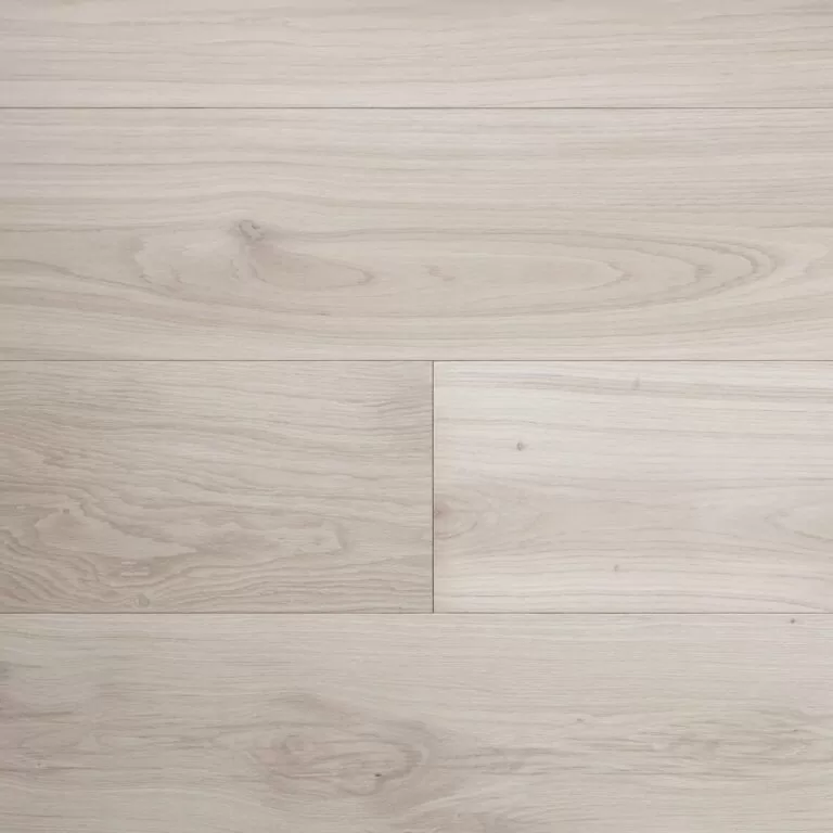 Альбатрос рустикальный