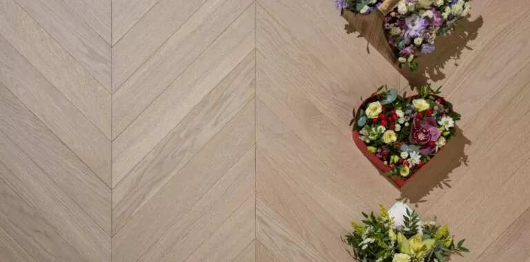 imgi_4_seryj-devi-2000x990px-3