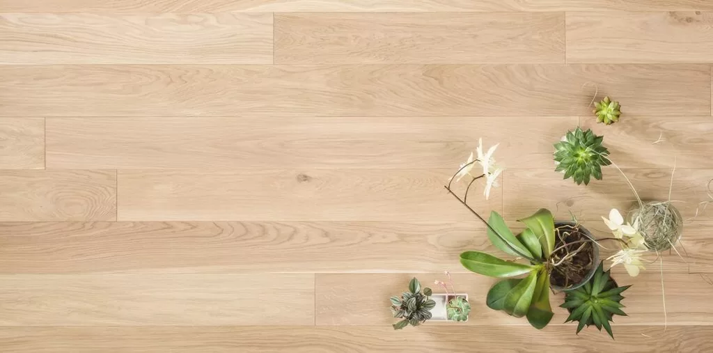 imgi_4_vanilnyj-rustikalnyj-2000x990px-2