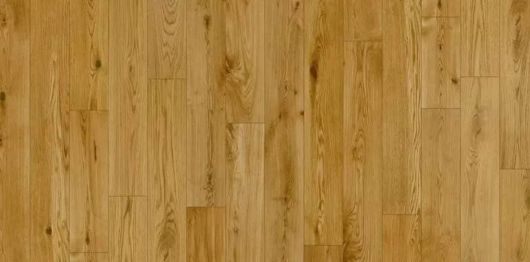 imgi_4_vena-2000x990px-1-1