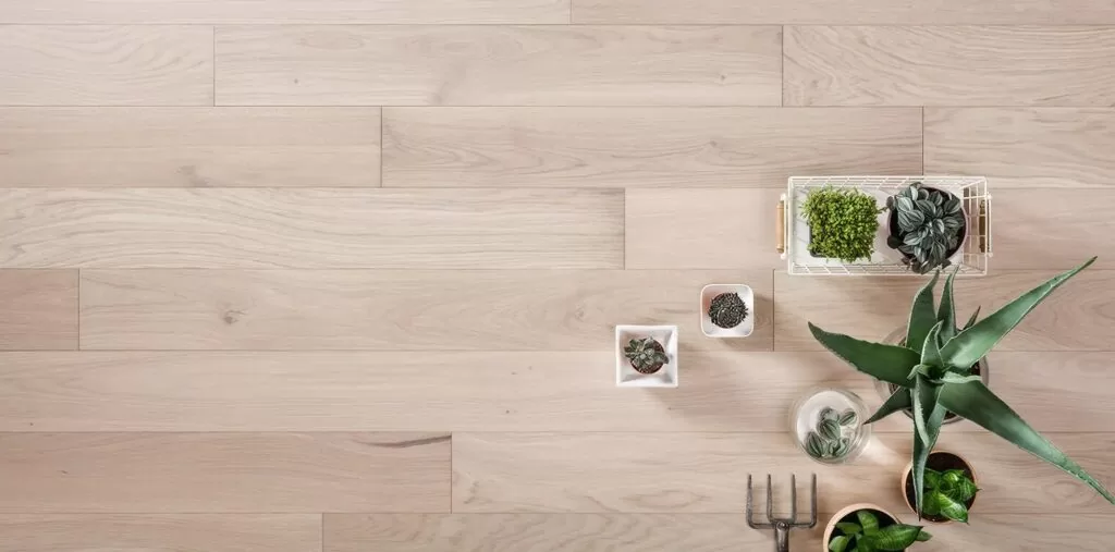 imgi_5_akvarelnyj-belyj-rustikalnyj-2000x990px-1