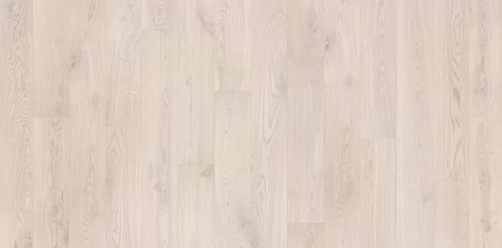 imgi_5_podsnezhnik-2000x990px-4