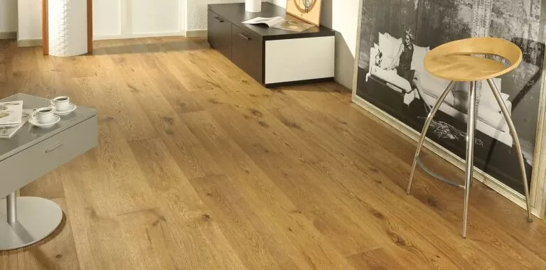 imgi_5_vena-2000x990px-3-1