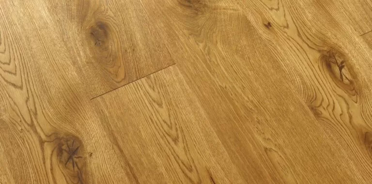 imgi_7_vena-2000x990px-2-1